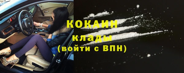 гидра Кукмор