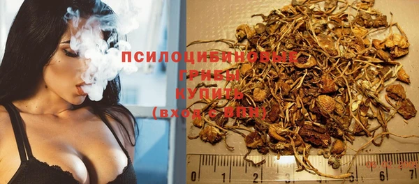 гидра Кукмор