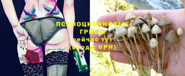 гидра Кукмор