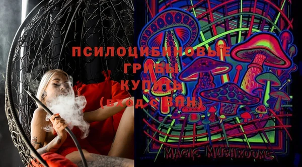 гидра Кукмор